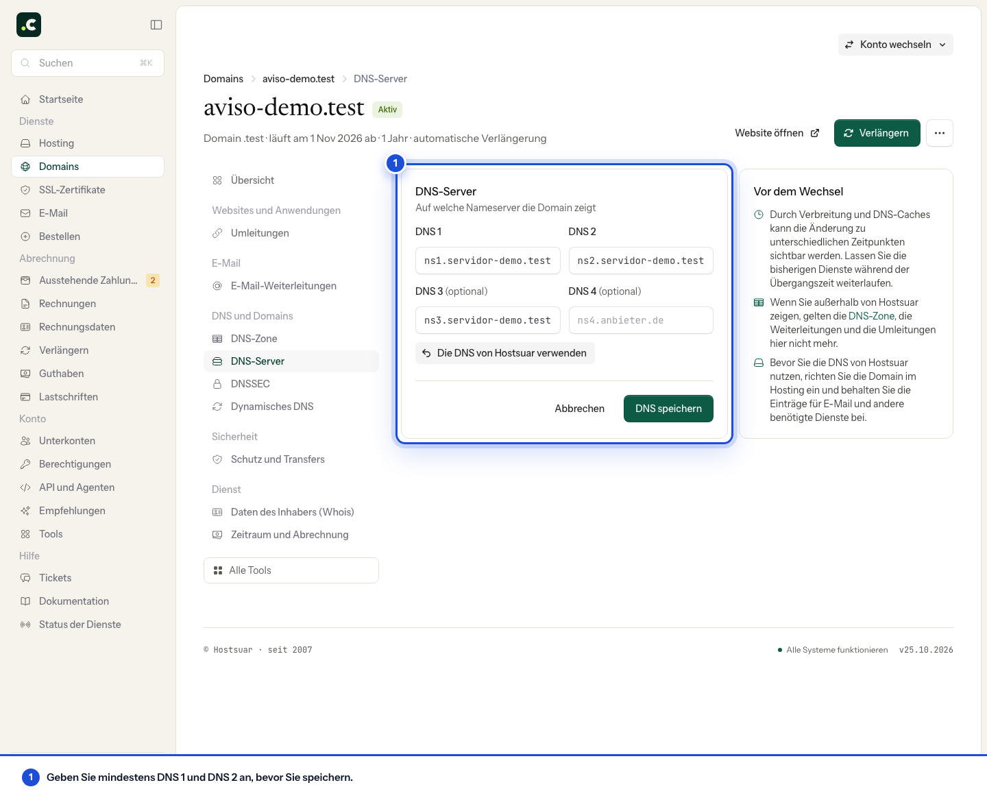 Formular der DNS-Server der Demo-Domain mit den Namensfeldern und der Schaltfläche DNS speichern