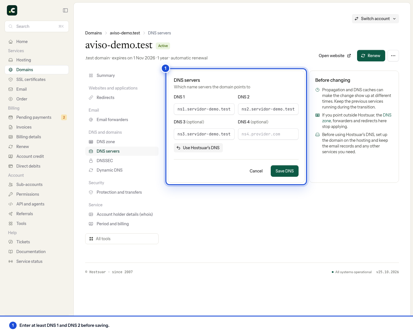 Nameserver form for the demo domain, with the name fields and the Save DNS button