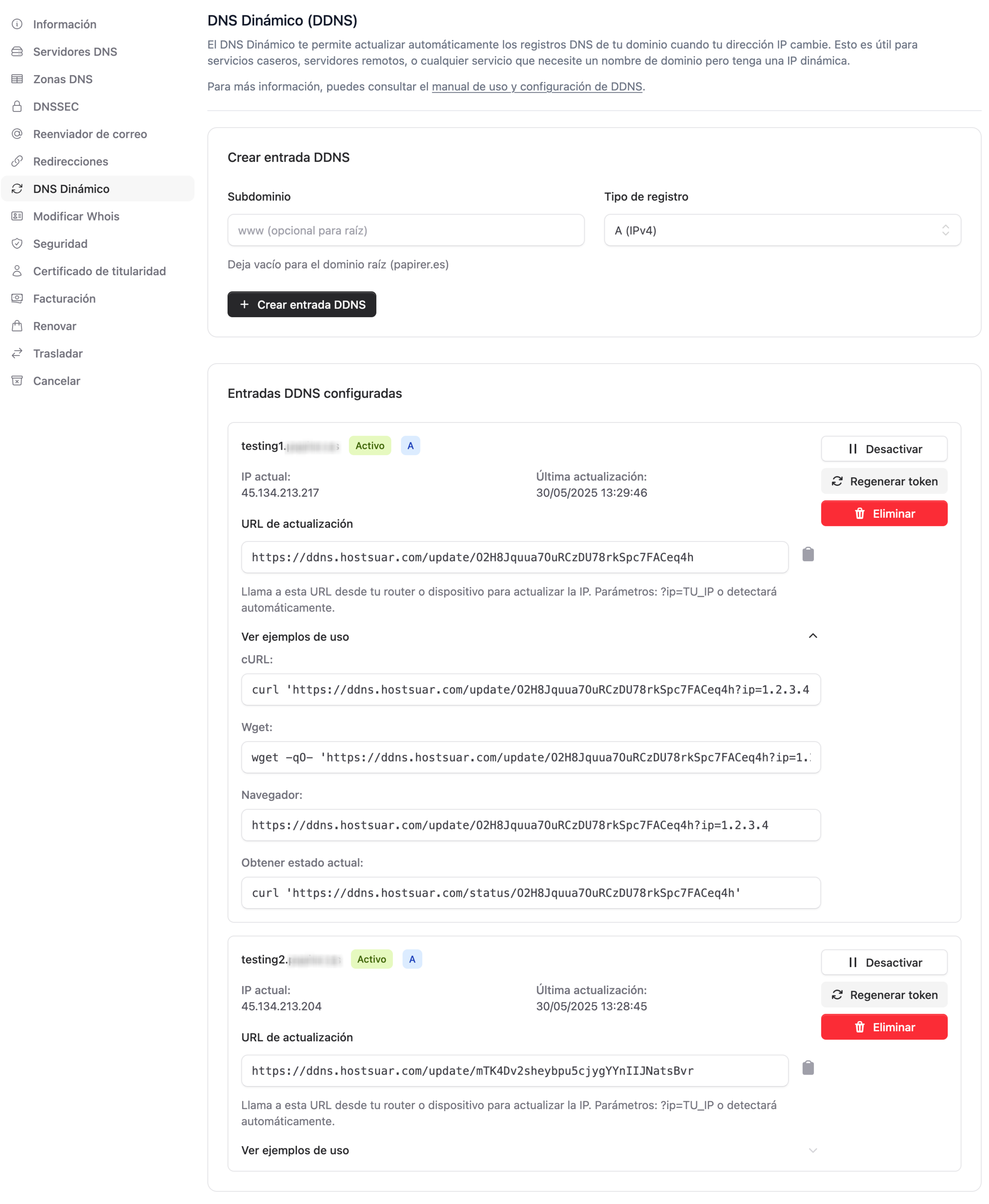 Acceso a DNS dinámico